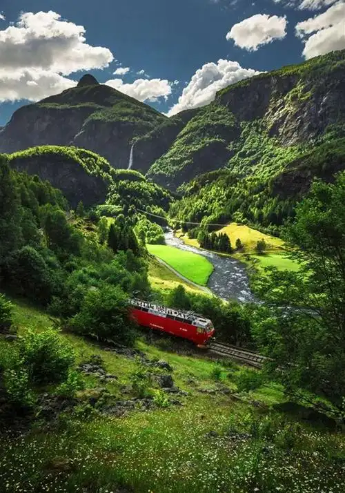 每个人心中都有一片挪威的森林5