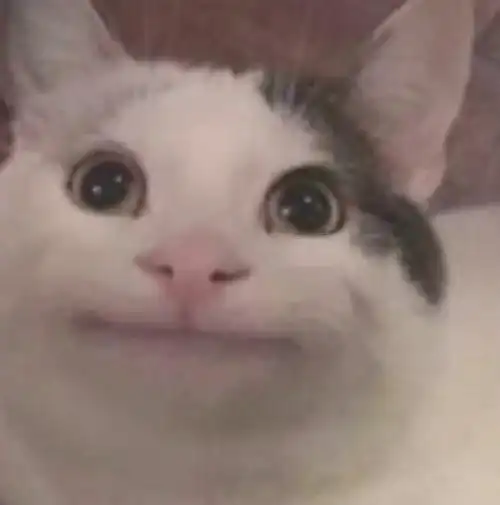 猫猫头表情包沙雕猫猫头表情包