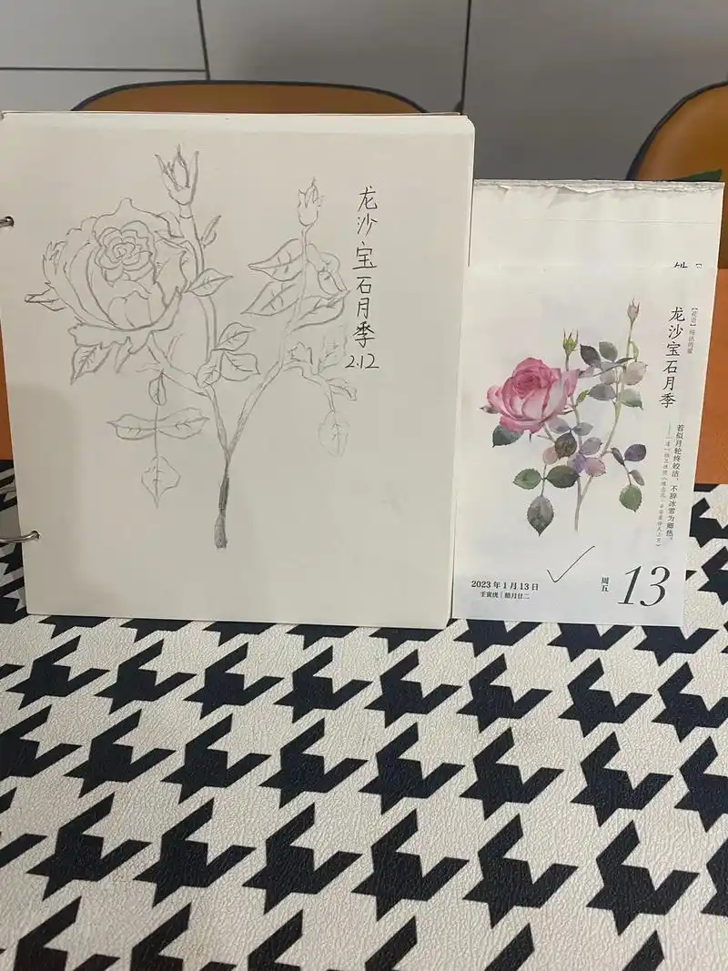 随手画 日历素材练习非常不错#素描