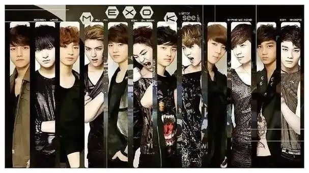 exo成员中最具有大众性的原来是他