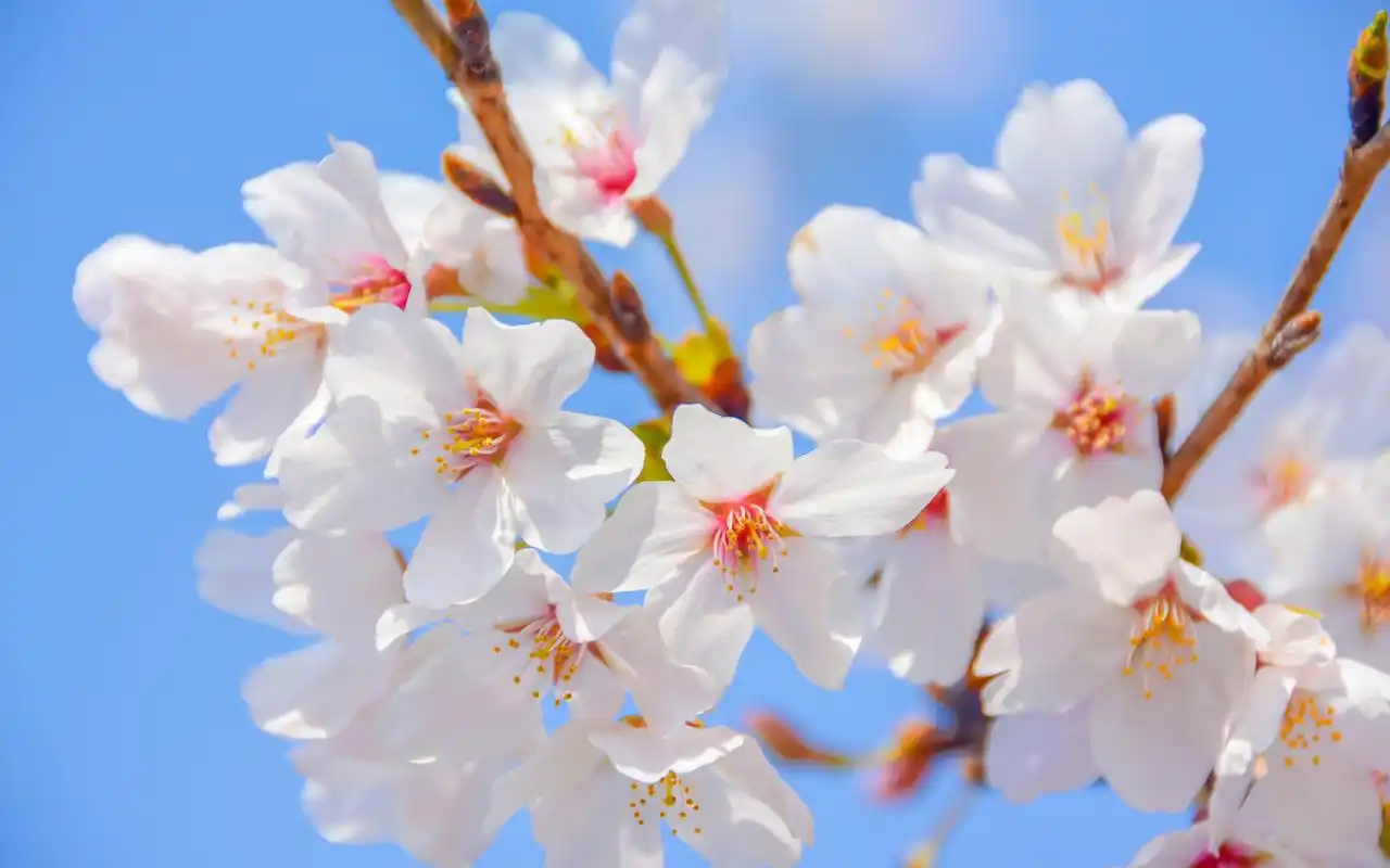 喧闹一天的城市在夜色老人的降临下一切都格外的宁静