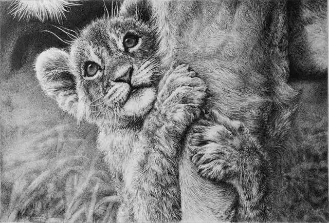 「转载」任保海动物钢笔画欣赏