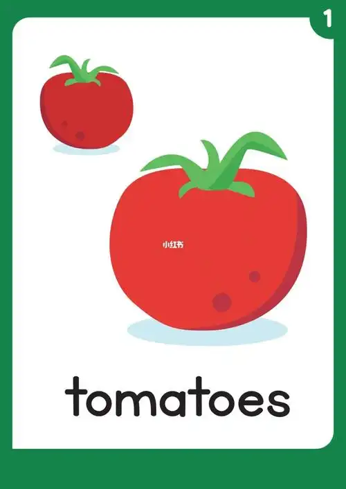 幼儿英语闪卡340张