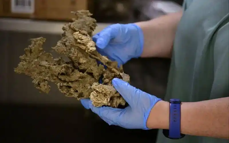 头条速览俄罗斯卡尔梅克共和国总统巴图哈西科夫感染新冠病毒