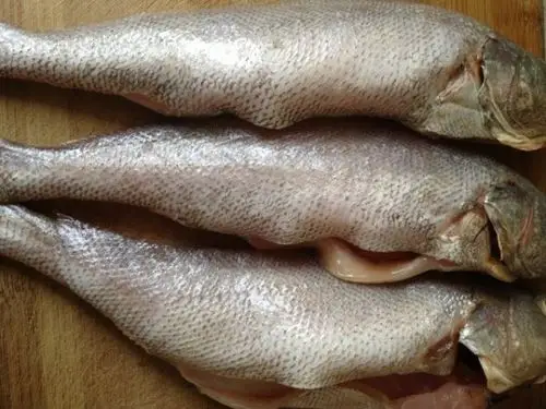 温州特色鱼丸汤(2/9)