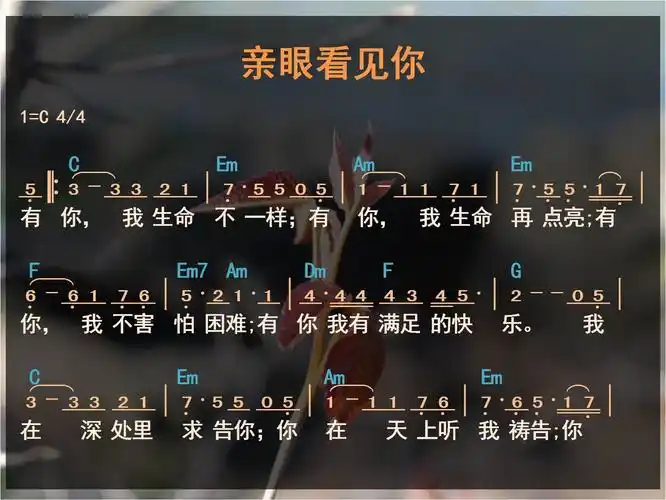 诗歌亲眼看见你歌谱图片分享下载