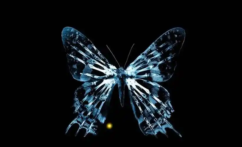 《蝴蝶效应》如果一个人可以回到过去,究竟是好事还是坏事?