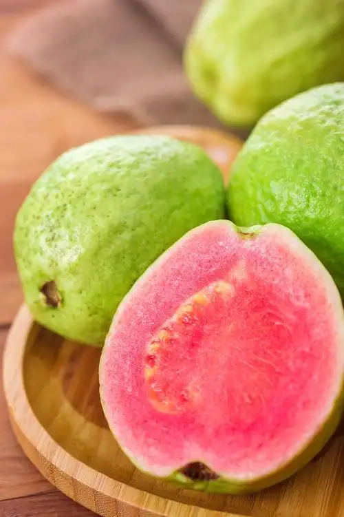 柠檬 丑橘 芒果 芭乐