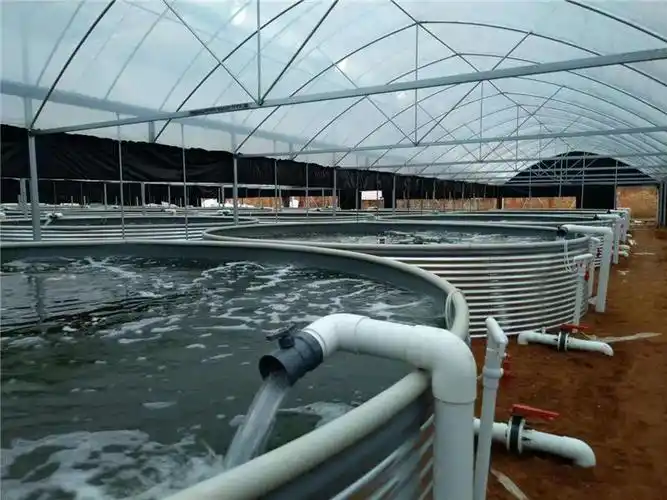 多功能养蟹盒,高密度水产养殖池,定做各类鱼池_惠安县大丰水产养殖