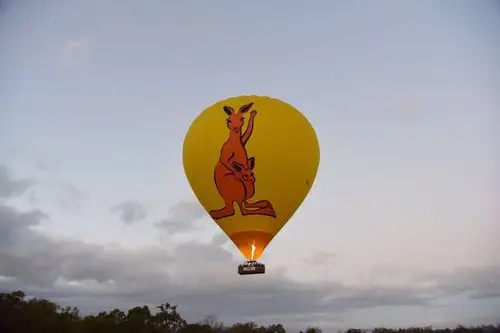 袋鼠气球很可爱