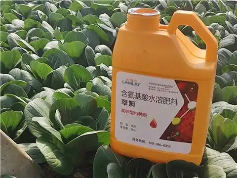 新型肥料怎么选?帮您了解氨基酸水溶肥