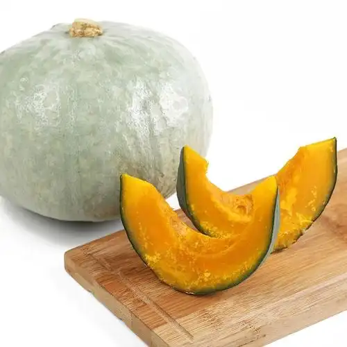 正宗新疆银栗南瓜贵族金丝栗沙漠倭瓜银板栗贝贝粉糯香甜宝宝辅食