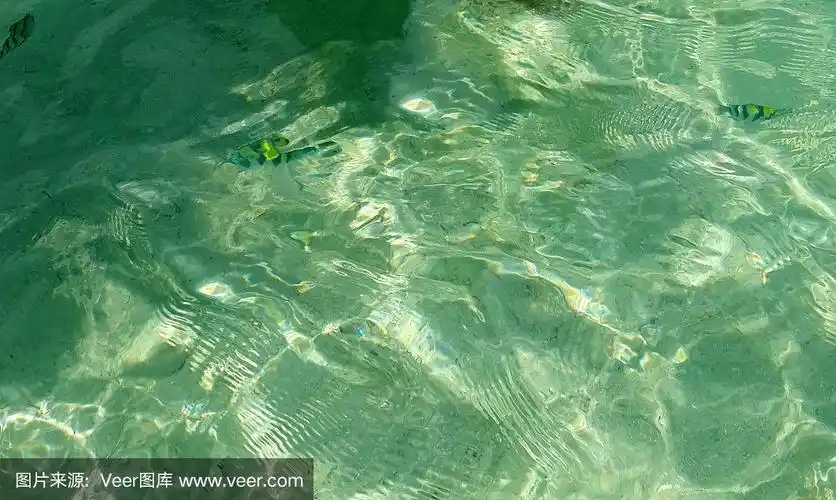 海面鸟瞰图清澈的绿色碧绿的涟漪海水和小丑鱼在海滩浅水为背景在热带