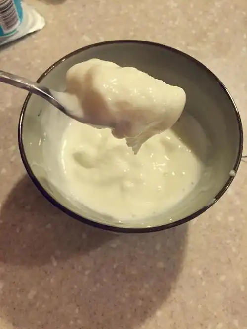 (超实用简单)在家自制冻酸奶冰淇淋的做法和步骤图解 - (超实用简单)