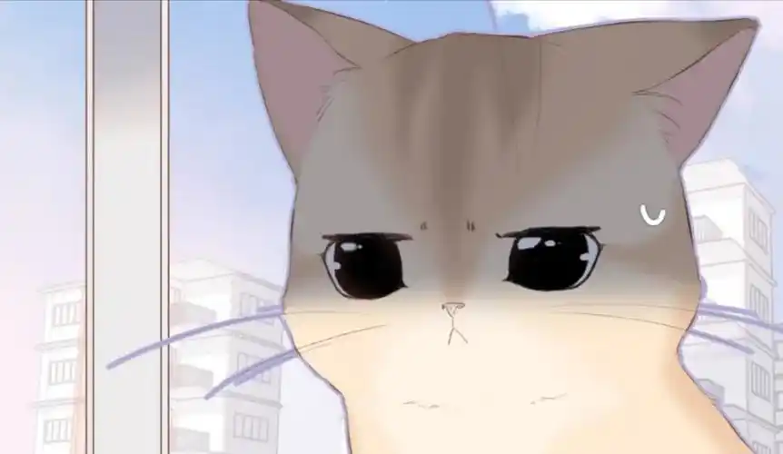 再度与你 - 堆糖,美图壁纸兴趣社区