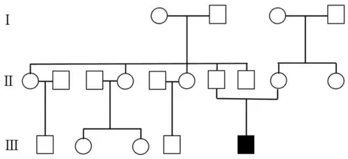 cornelia de lange综合征1例新发基因突变报道并文献综述