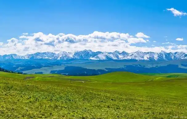 新疆伊犁两大5a景点,你都去过吗?