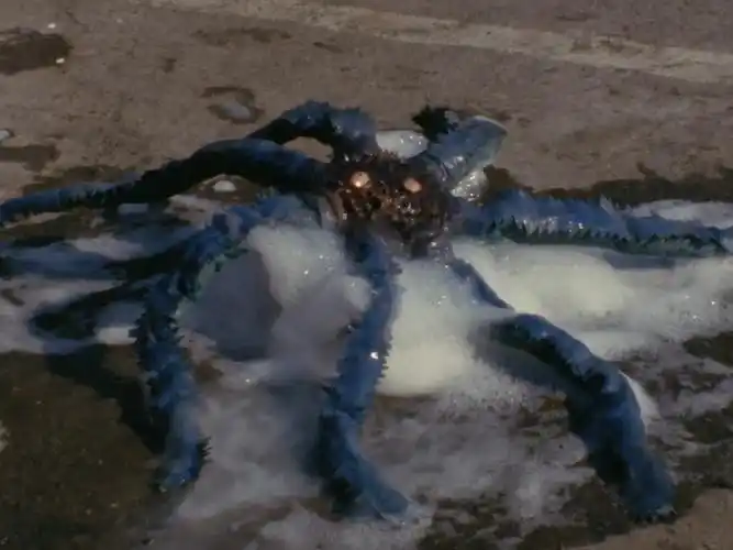 圆盘生物代莫斯