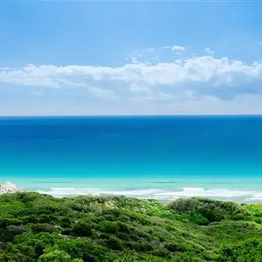 2020最美风景头像让人心旷神怡的绿色美景