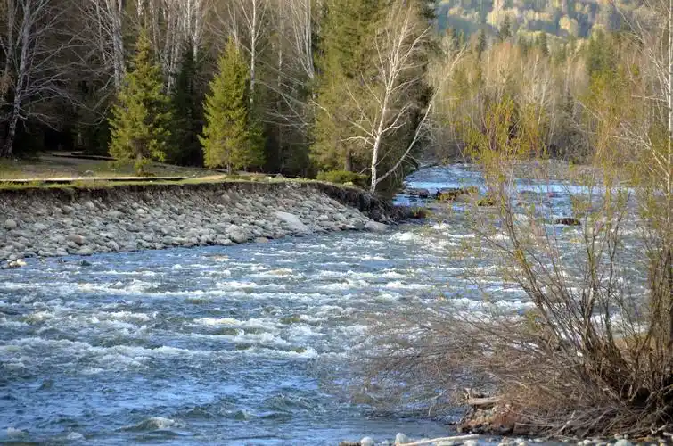 禾木白桦林牧民归家的背影,不由地醒来.哈登平台上的眺望,就这
