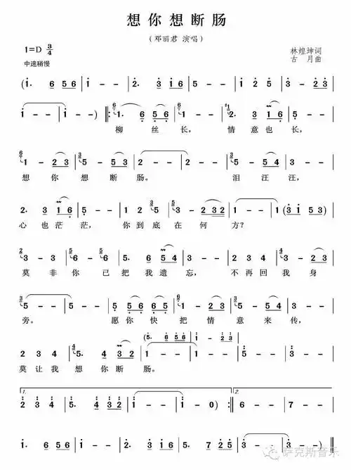 【想你想断肠 】邓丽君经典怀旧歌曲