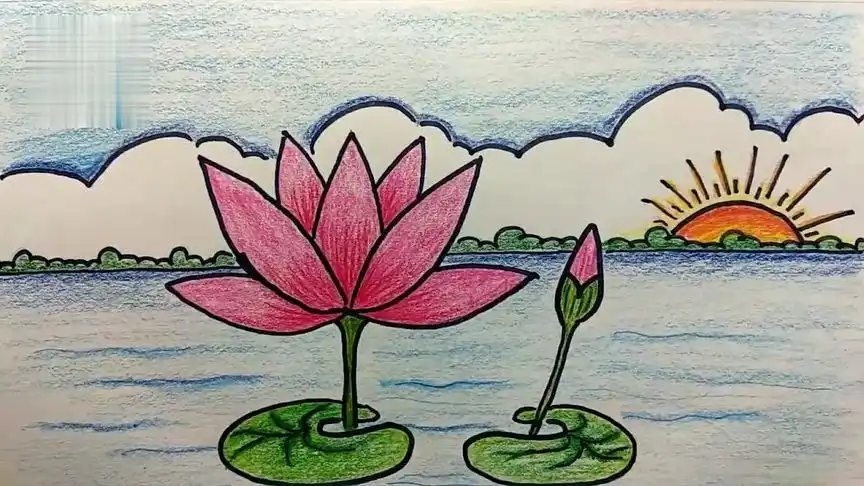 儿童简笔画精选-睡莲