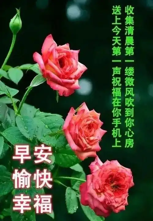 2021牛年全新的早上好表情动画图片早上好图片动图