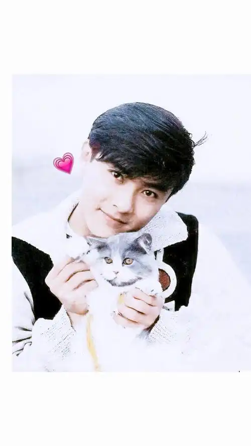 张卫健年轻最帅图片 张卫健图片