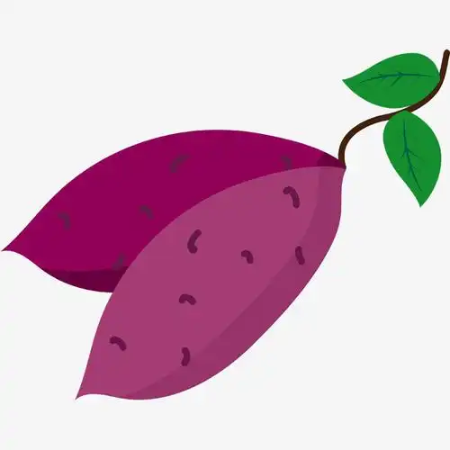 卡通两个新鲜红薯插画png