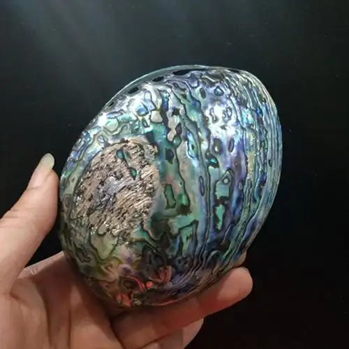 天然贝壳珍珠蚌壳 珍珠河蚌壳 抛光打磨饰品工艺品 原料