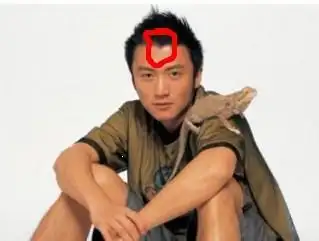 如图:谢霆锋额头前这样子是理发剪出来的么?