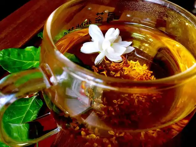 自制的茉莉蜜茶