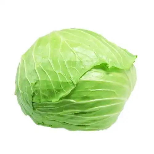 青甘蓝 5斤 大头菜 圆白菜 包心菜 甘蓝菜 新鲜蔬菜 产发