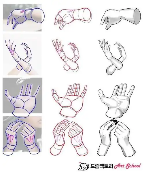 绘画参考#手部姿势与关节位置