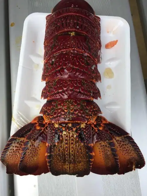 澳大利亚十日游