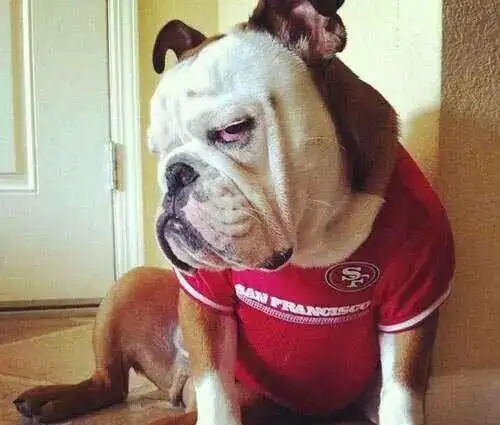 你见过最优雅的鄙视造型是什么?