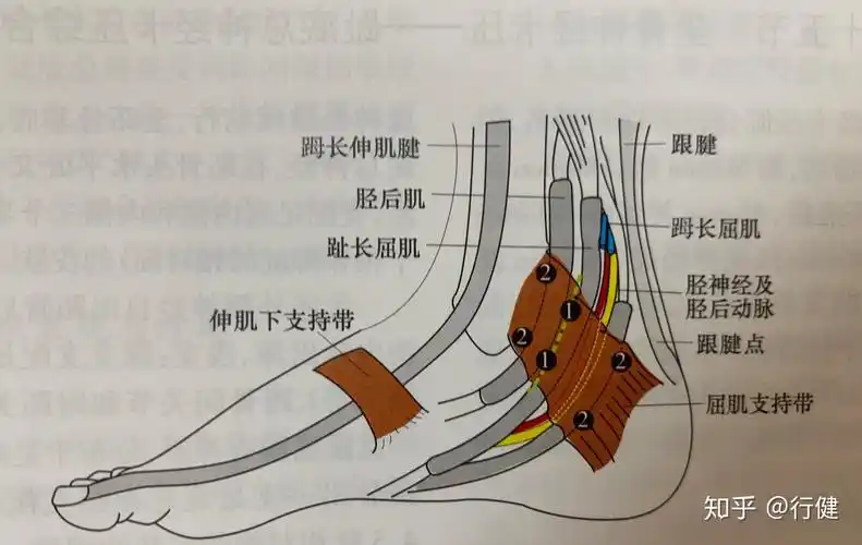 脚底麻木答应我这一次请放过坐骨神经好吗
