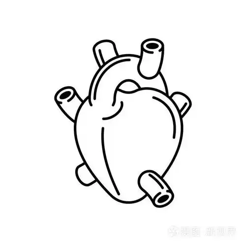 插画 心脏解剖器官线性样式隔绝.矢量图案.eps