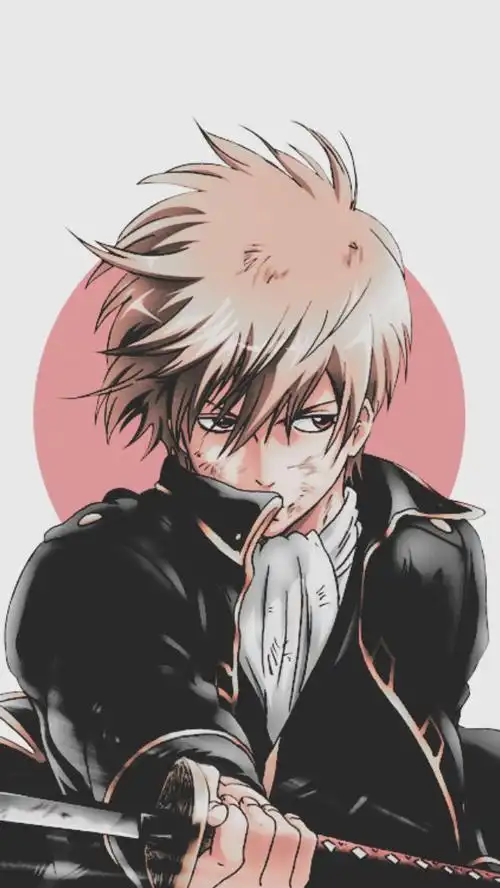 那些年,我们追过的银魂(手机壁纸)