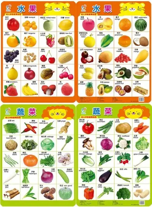 宝宝看图识物动物水果识图2岁-3岁宝宝学习书早教认知卡片儿童挂图