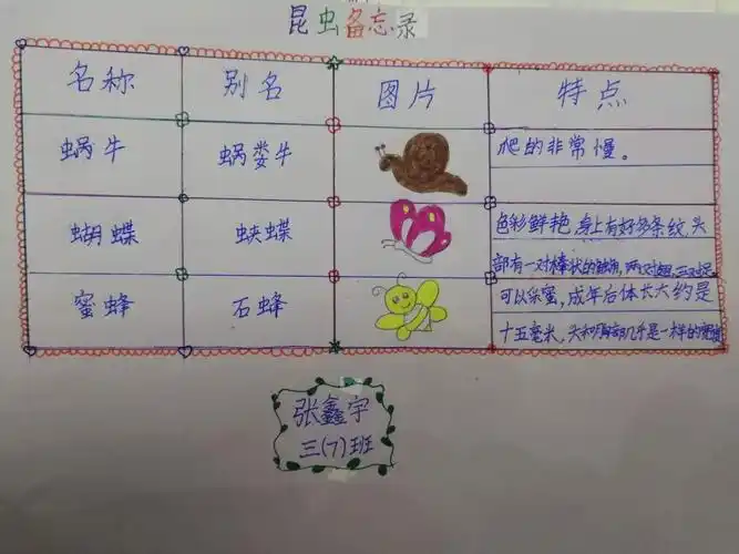 优秀作品~昆虫备忘录