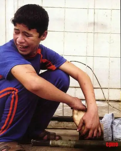 战乱灾难中纯真的力量