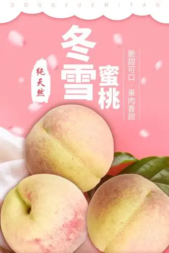 半岛士多 | 冬雪蜜桃 晚熟优质小蜜桃 新鲜脆甜,肉多细腻,清甜爽口