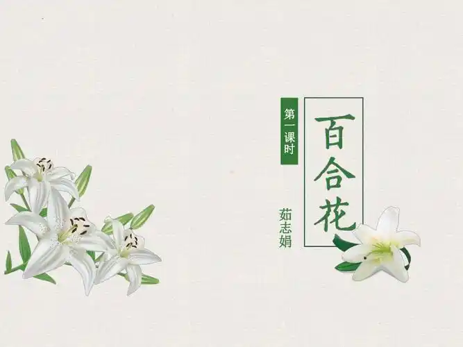 《百合花》ppt课件26张(1)_统编版高中语文必修上册.pptx_第1页