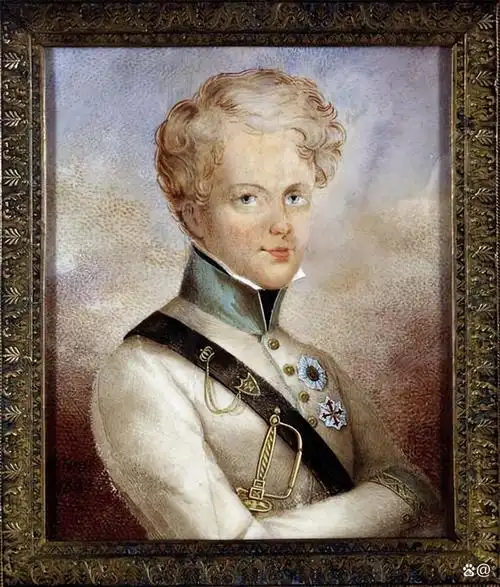 3岁前是世界焦点7岁后被困深宫早亡的拿破仑儿子悲情人生