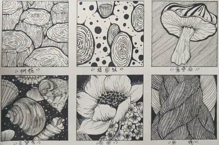 肌理画  #肌理构成作业