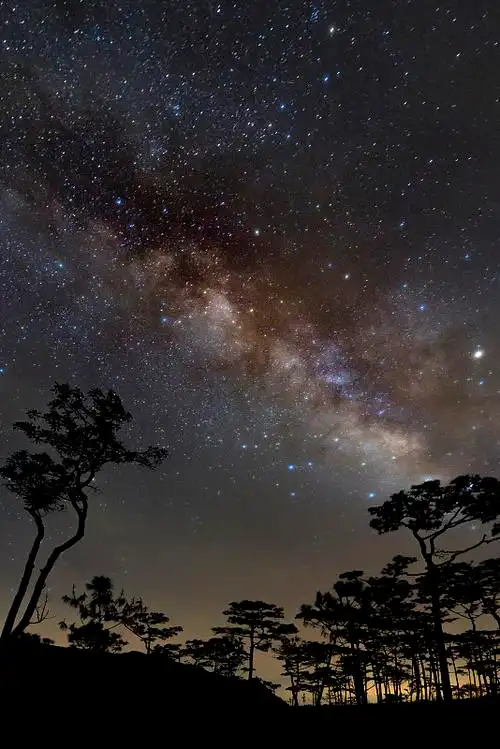 星星和银河在森林上空图片