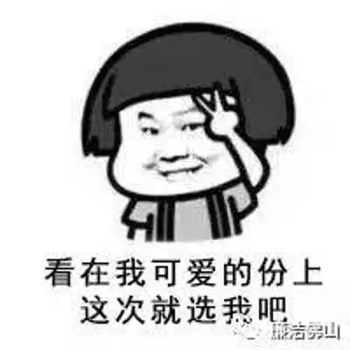 注意前方高能一大波选风选纪表情包正在路上
