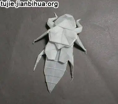 昆虫折纸作品图片欣赏(四)
