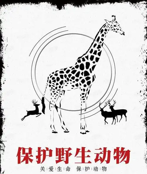 " 野生鸟类科普摄影展 " 普及鸟类知识 激发社会公众保护环境 爱护